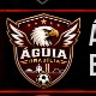 Águia Brasília
